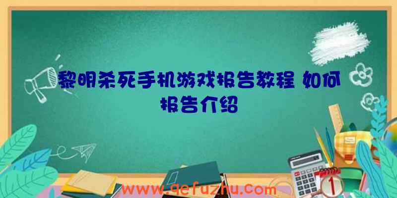 黎明杀死手机游戏报告教程